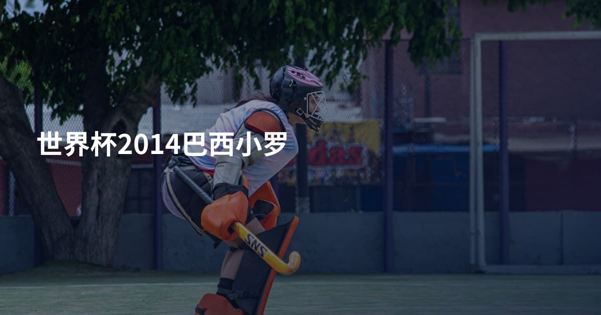 世界杯2014巴西小罗