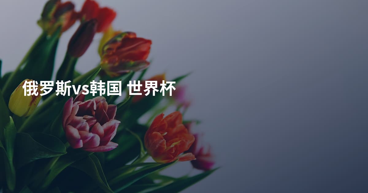 俄罗斯vs韩国 世界杯