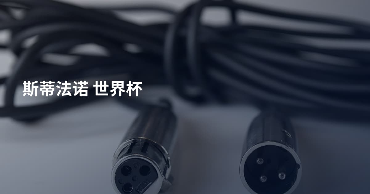 斯蒂法诺 世界杯