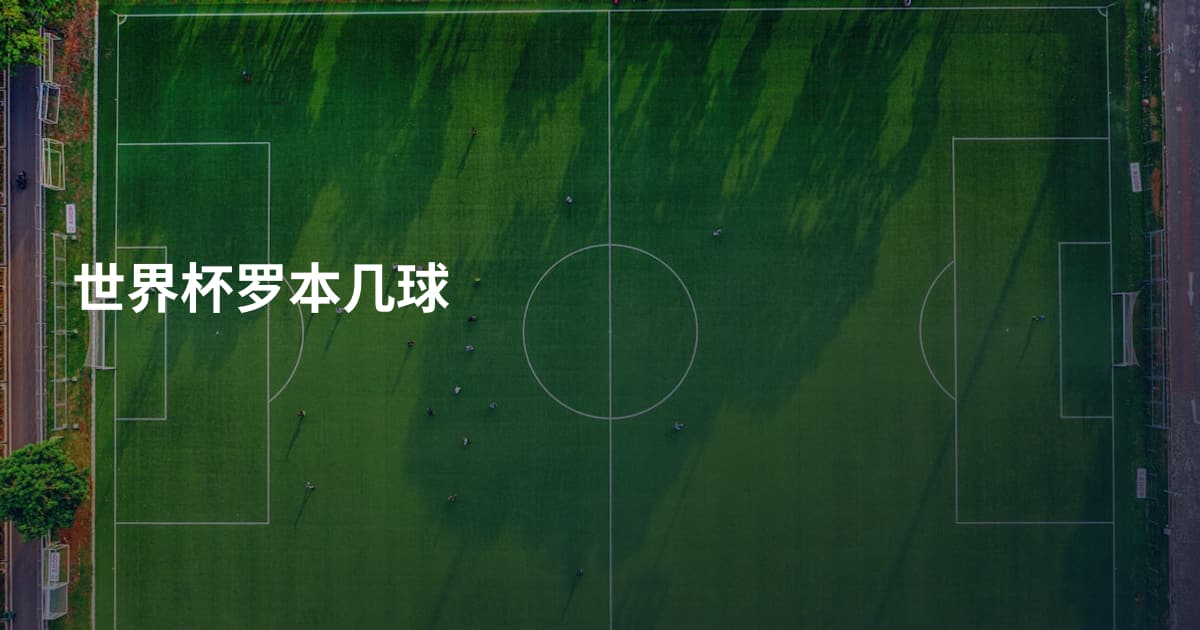 世界杯罗本几球