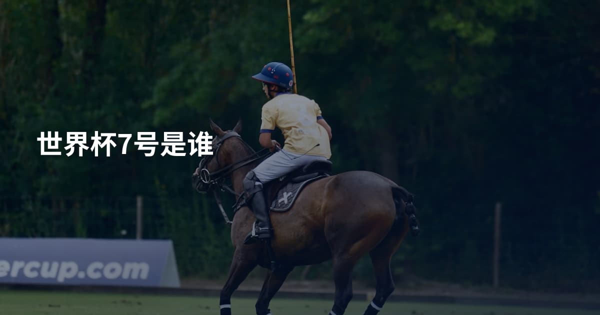 世界杯7号是谁