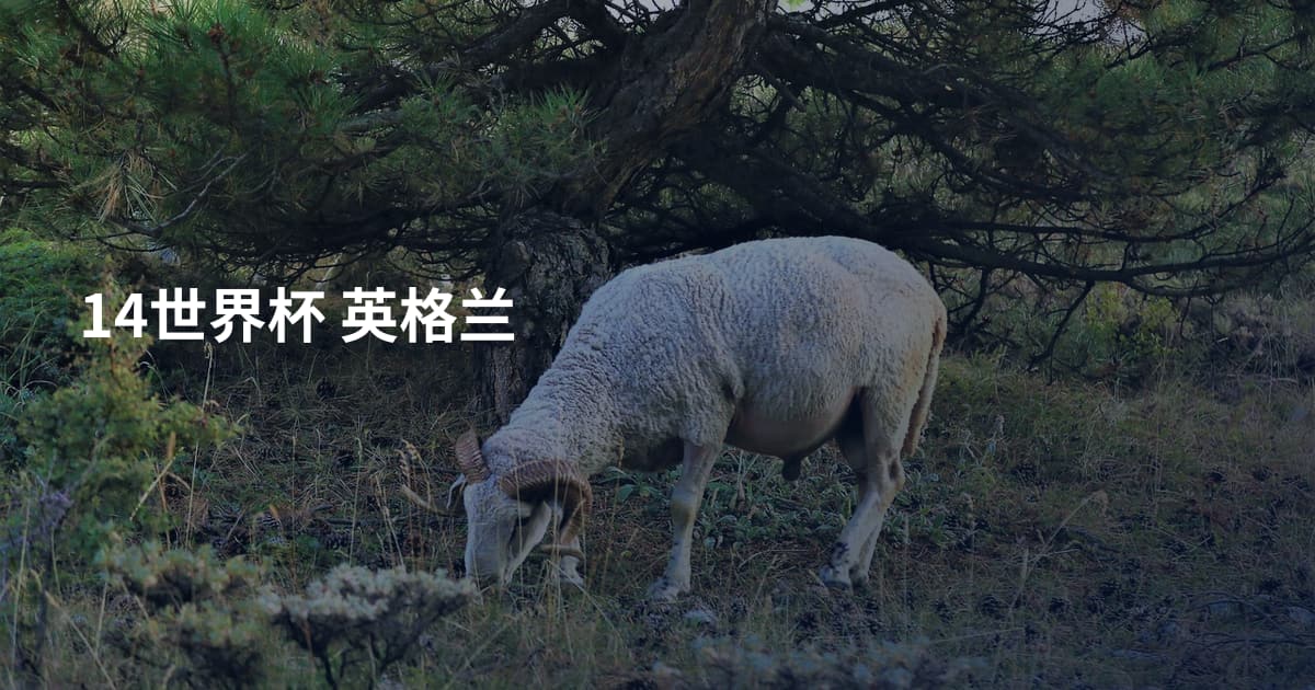 14世界杯 英格兰