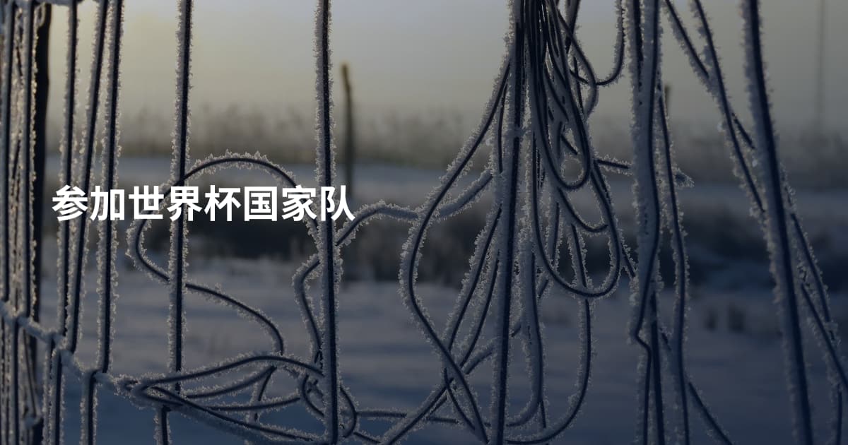 参加世界杯国家队