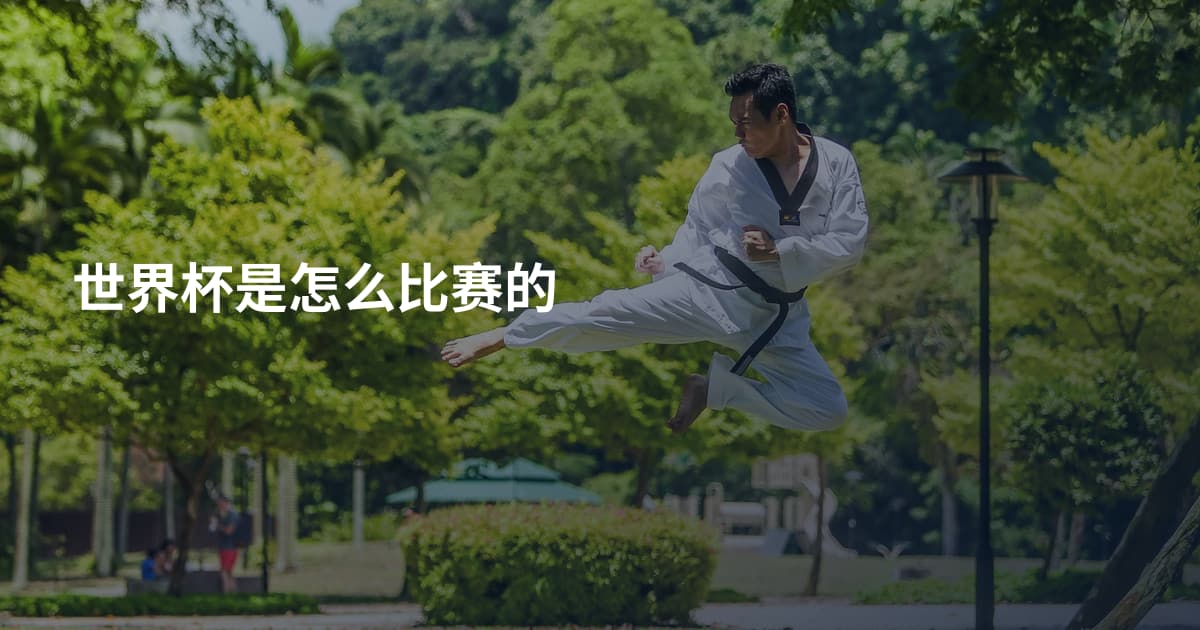 世界杯是怎么比赛的