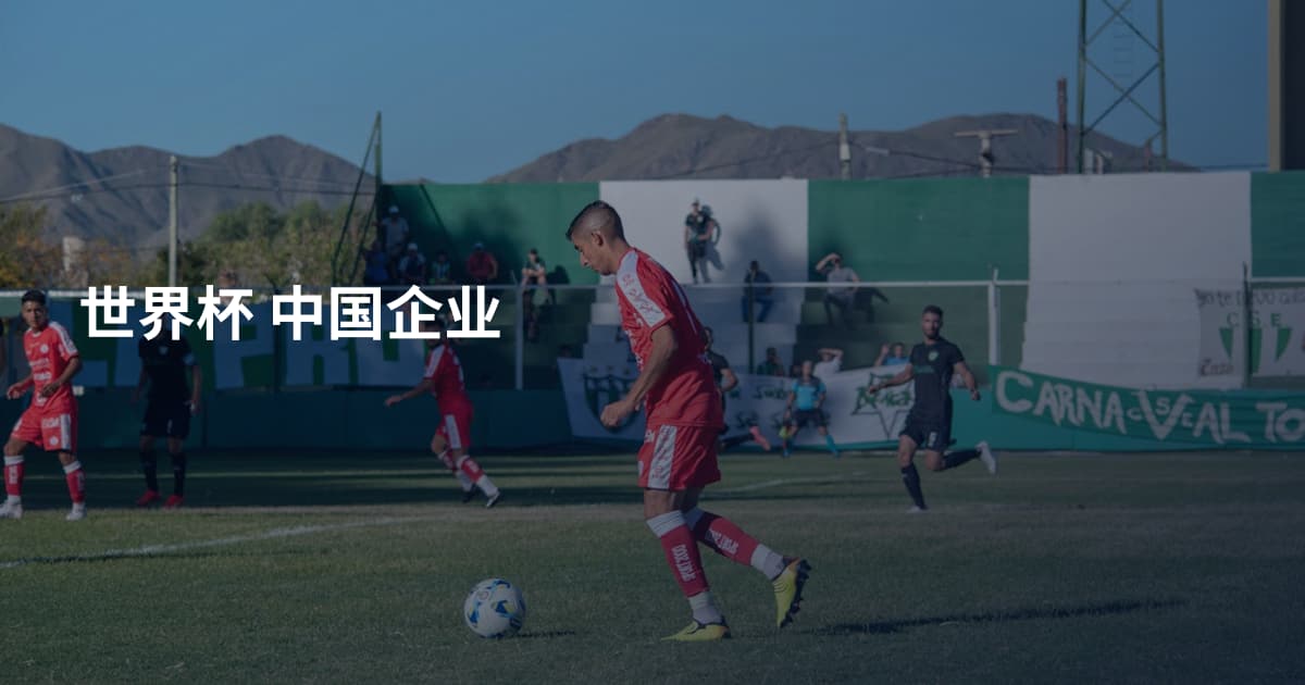 世界杯 中国企业
