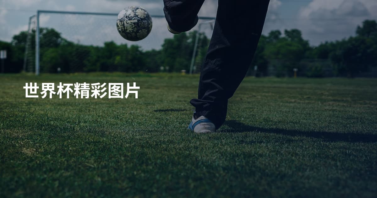 世界杯精彩图片
