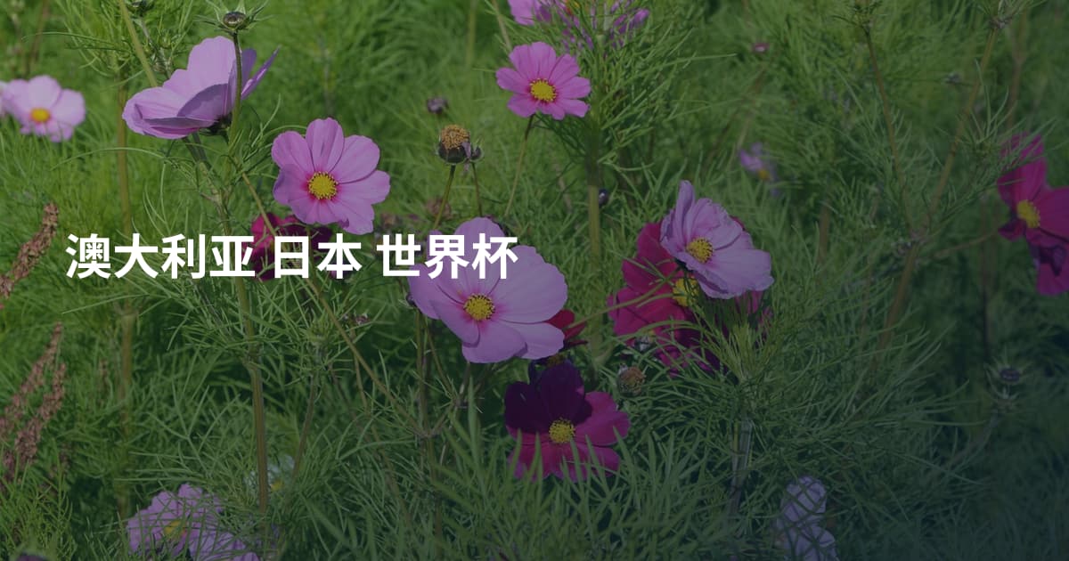 澳大利亚 日本 世界杯