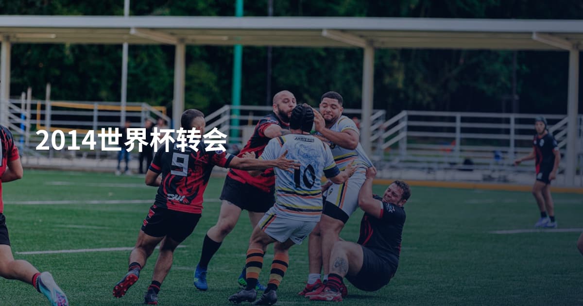 2014世界杯转会