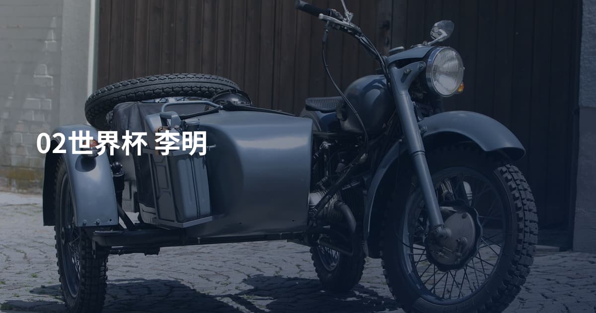 02世界杯 李明