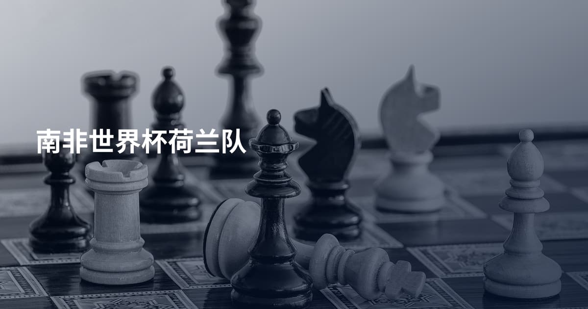 南非世界杯荷兰队