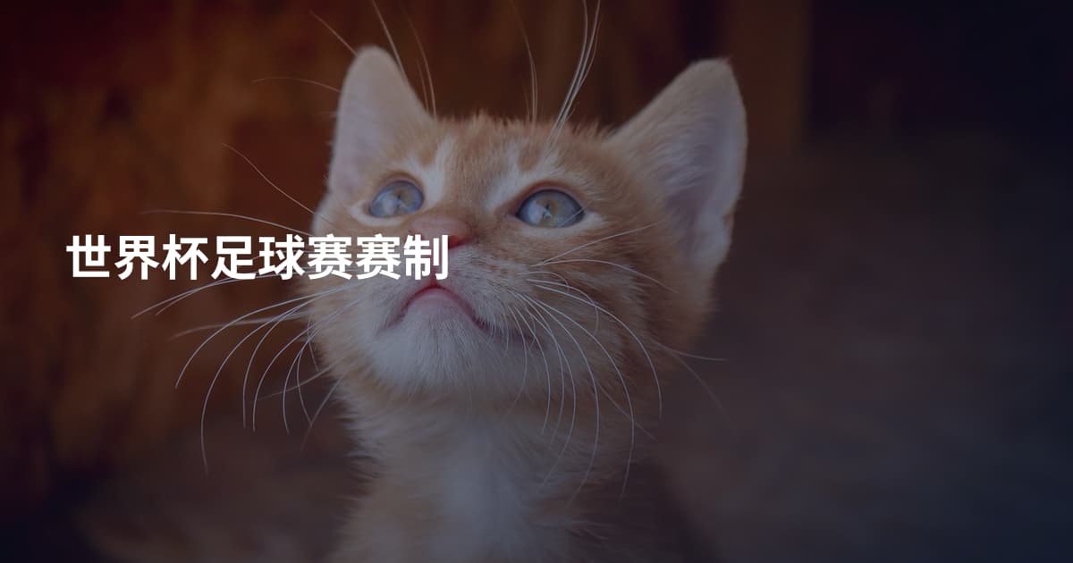世界杯足球赛赛制
