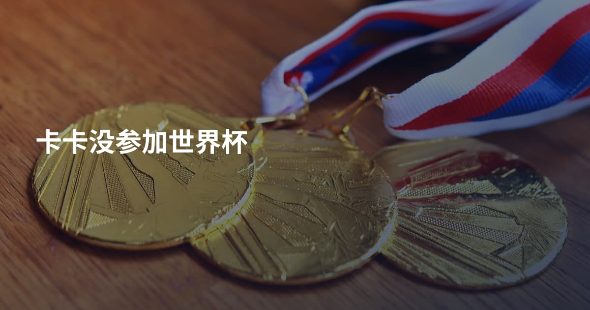 卡卡没参加世界杯