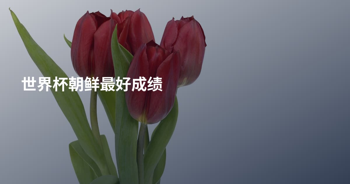 世界杯朝鲜最好成绩