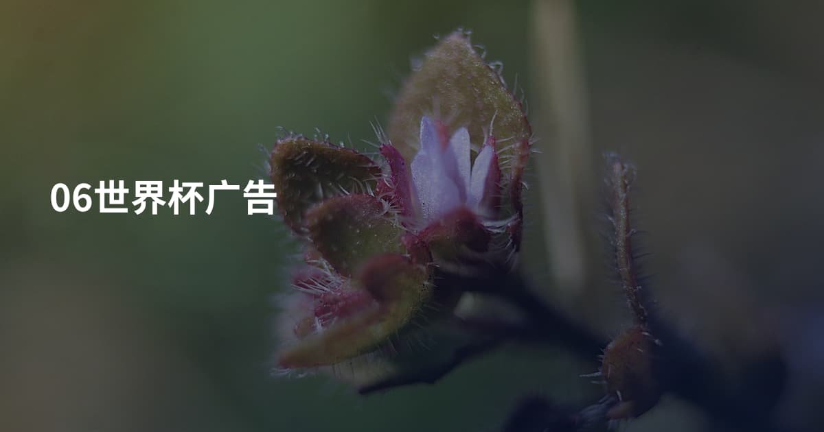 06世界杯广告