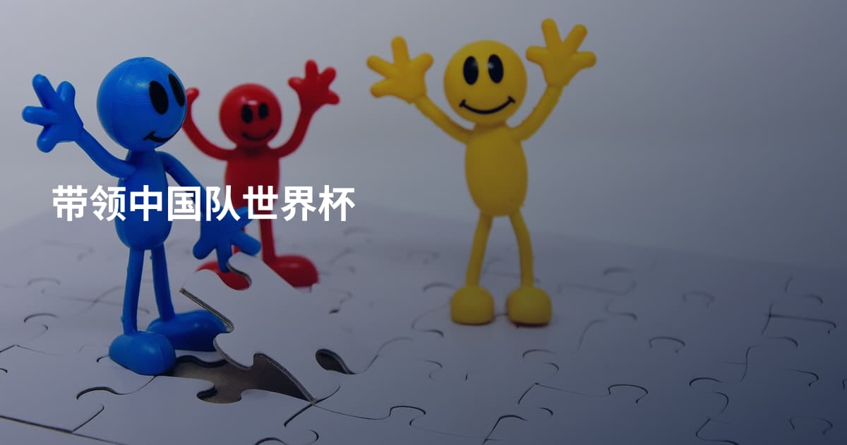 带领中国队世界杯