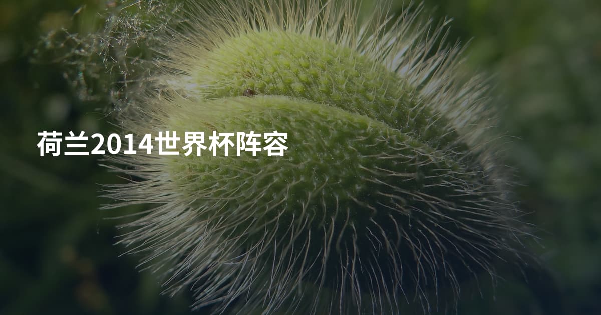 荷兰2014世界杯阵容