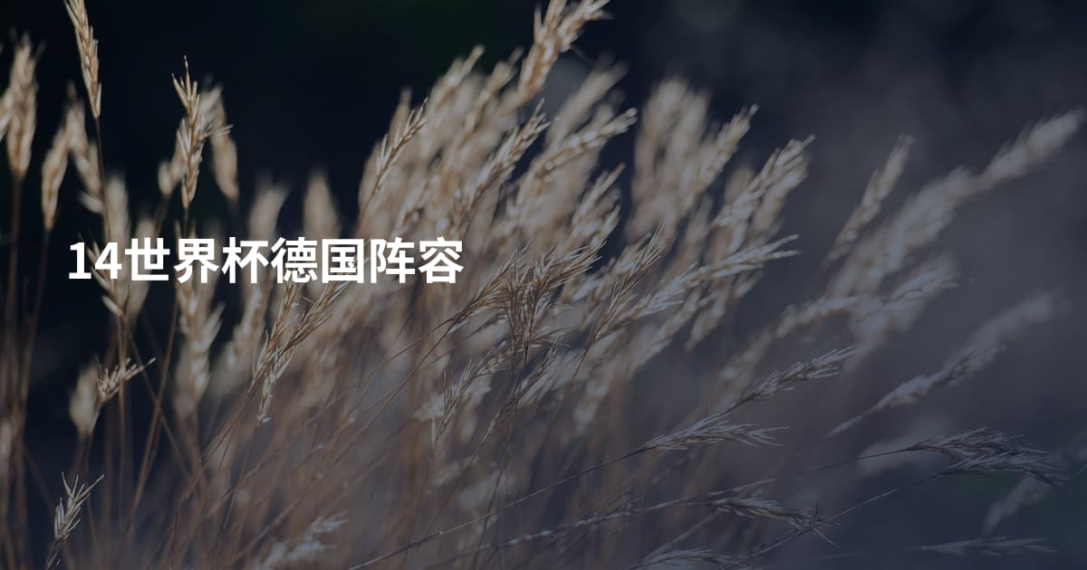 14世界杯德国阵容