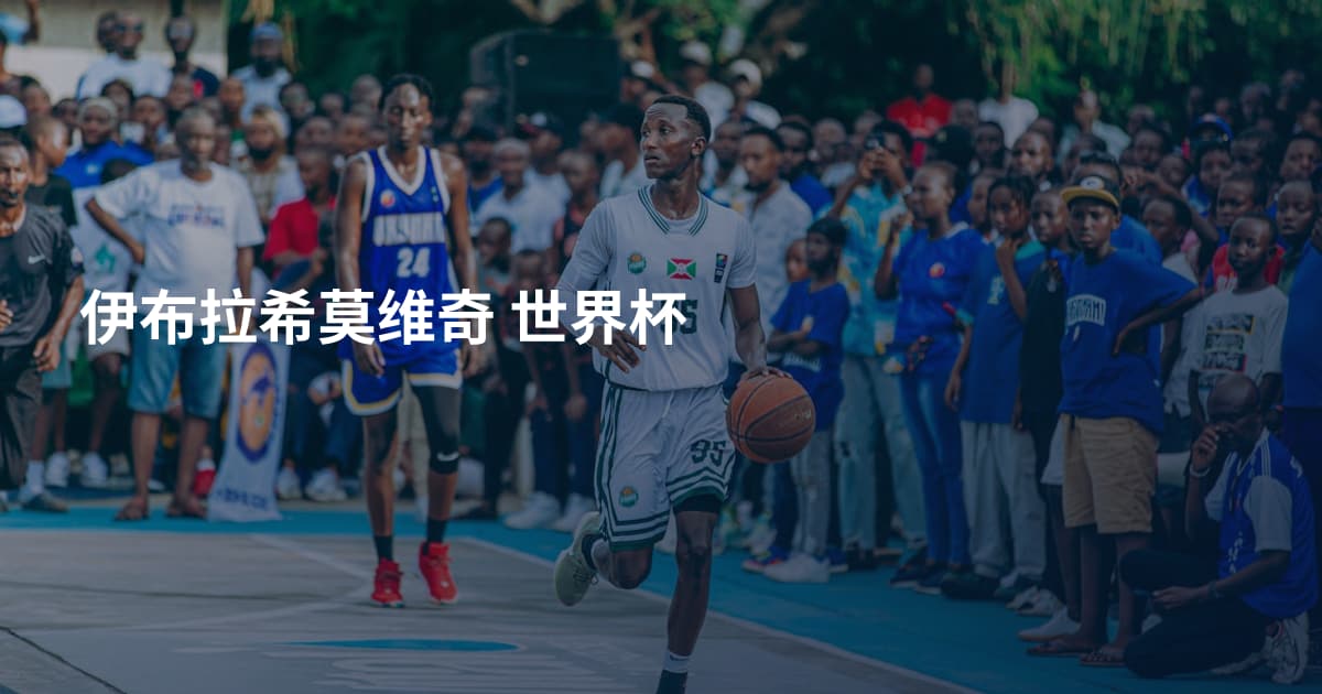 伊布拉希莫维奇 世界杯