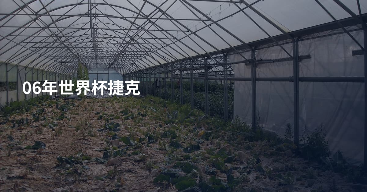 06年世界杯捷克