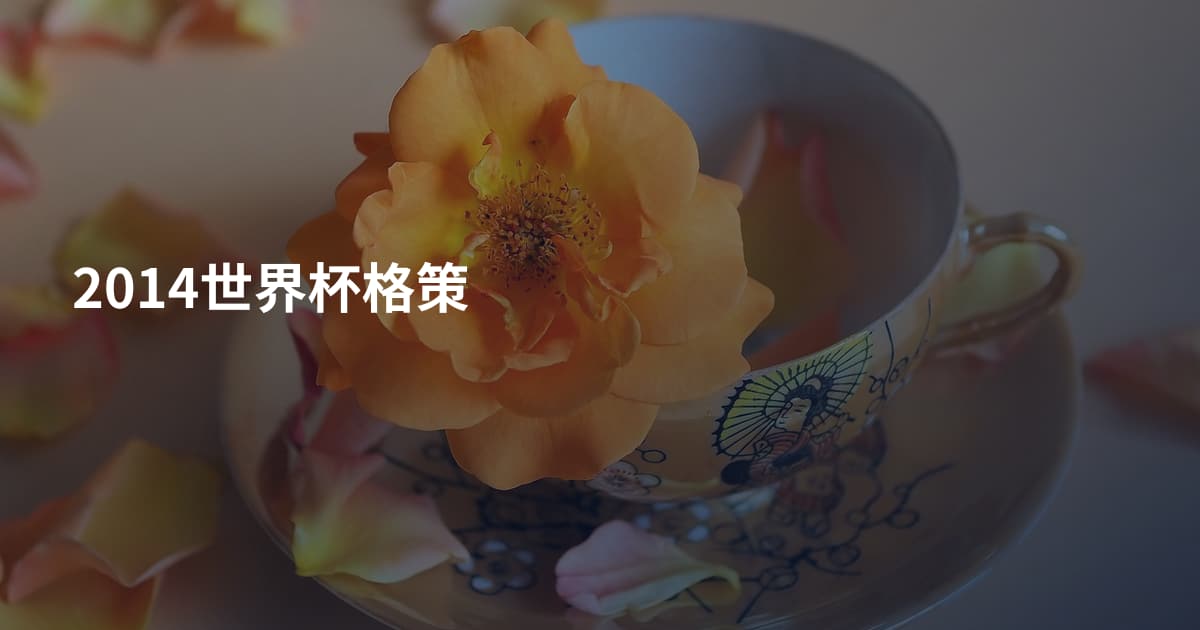 2014世界杯格策