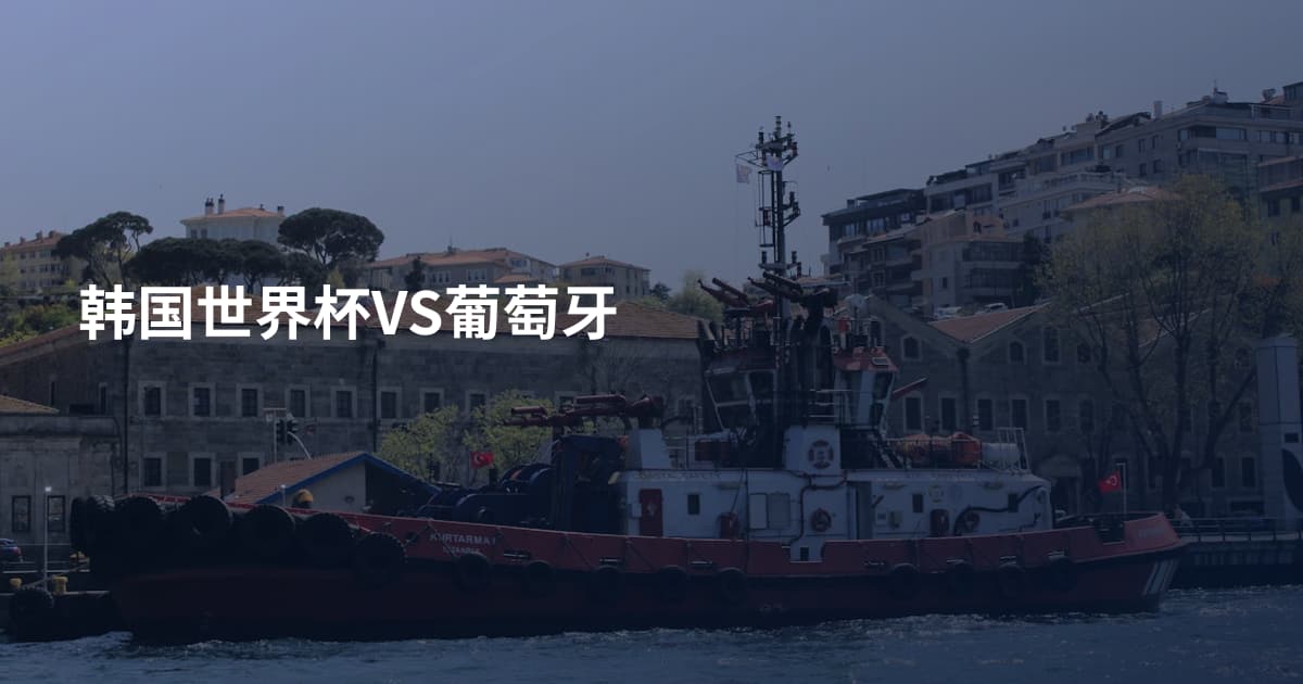 韩国世界杯VS葡萄牙