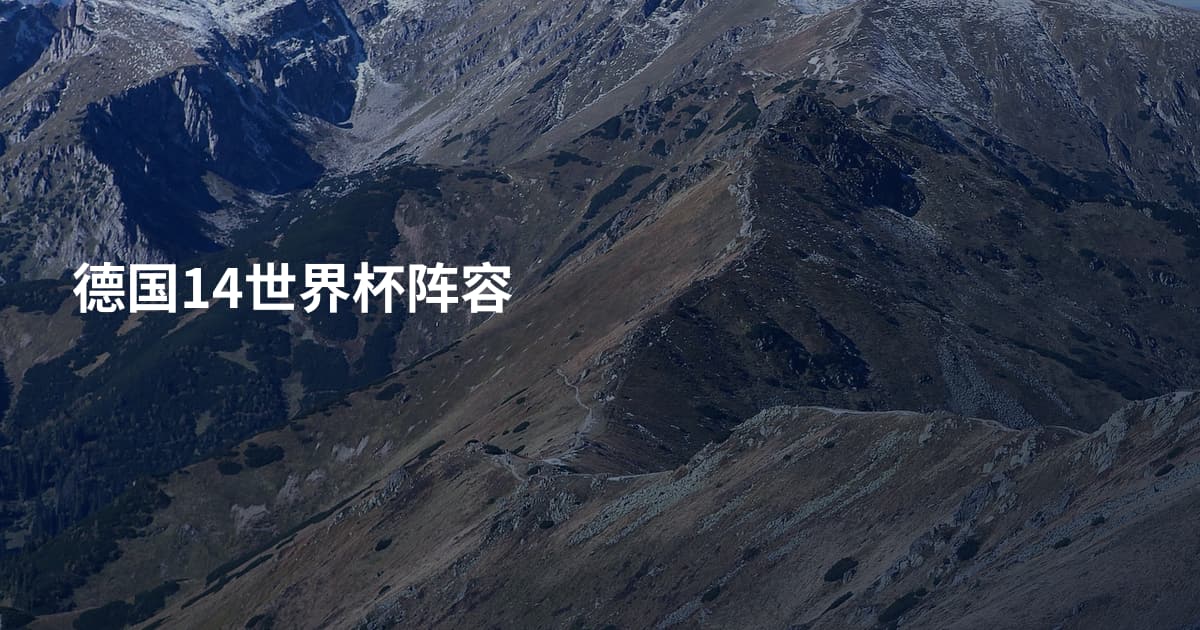德国14世界杯阵容