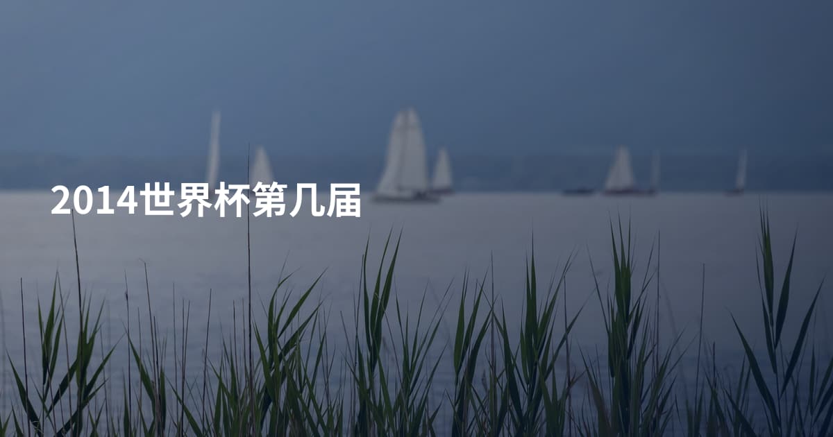 2014世界杯第几届