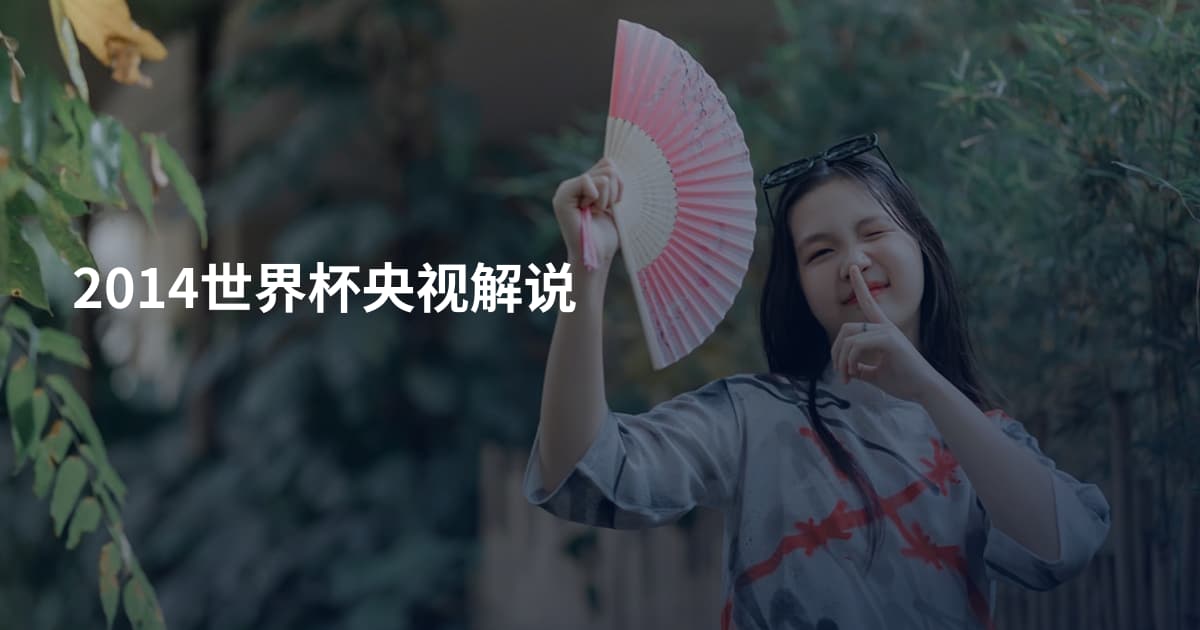 2014世界杯央视解说