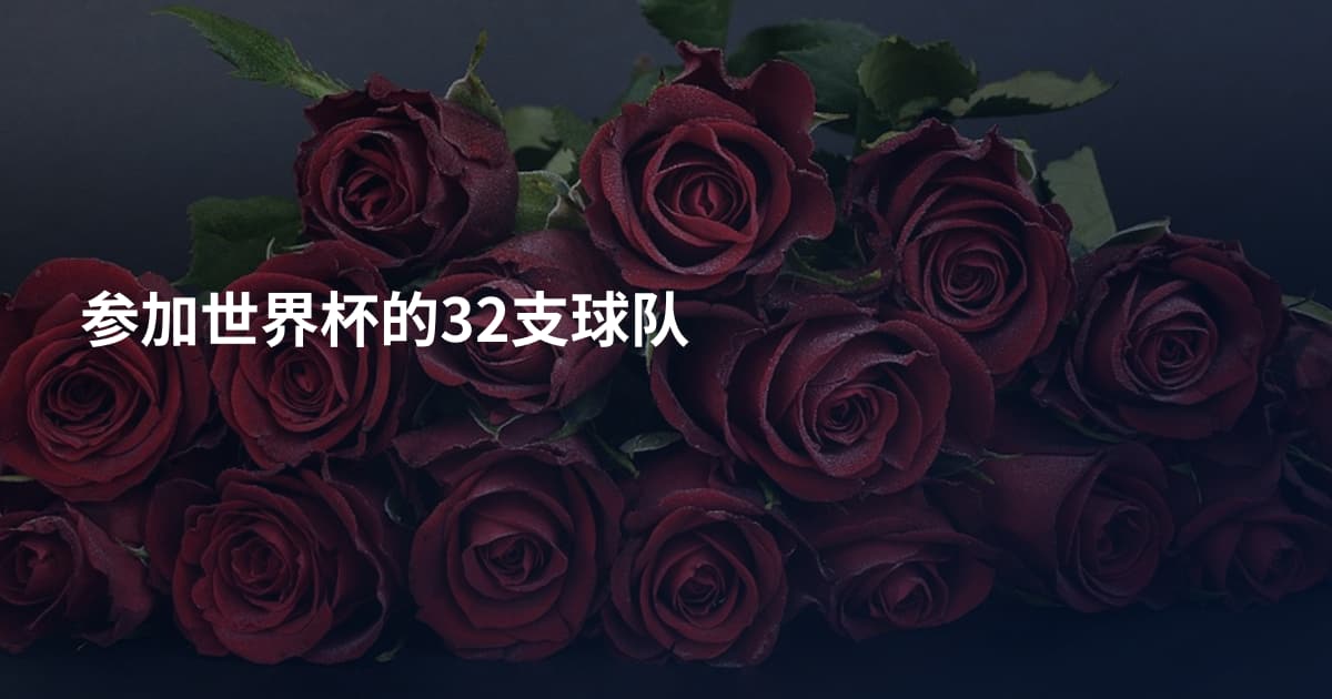 参加世界杯的32支球队