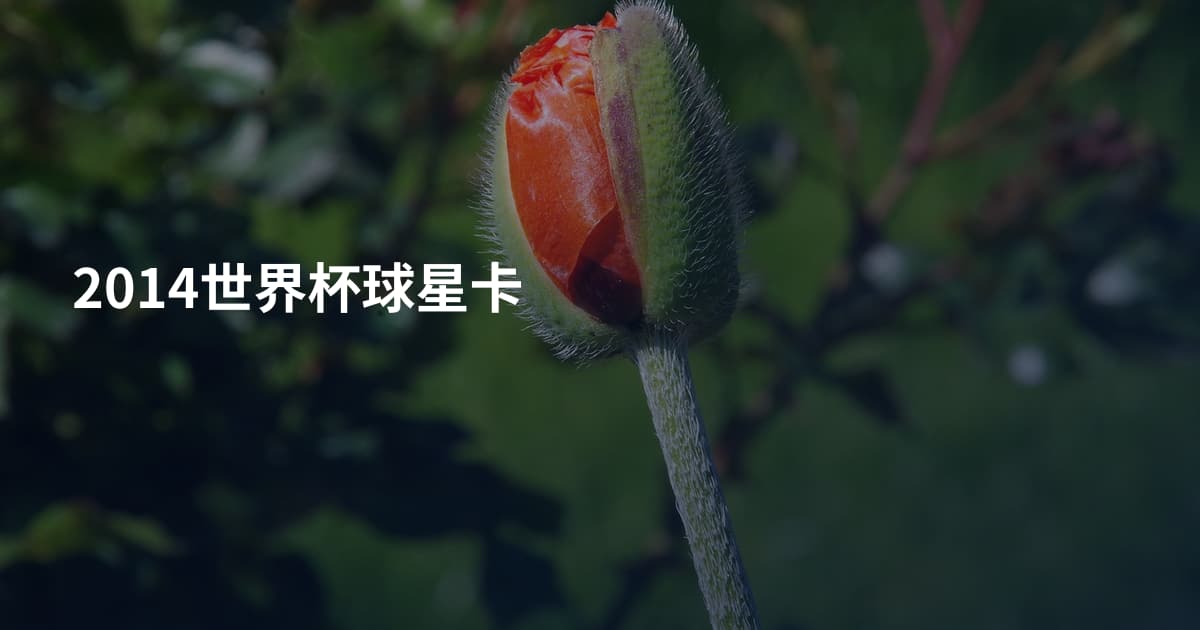 2014世界杯球星卡