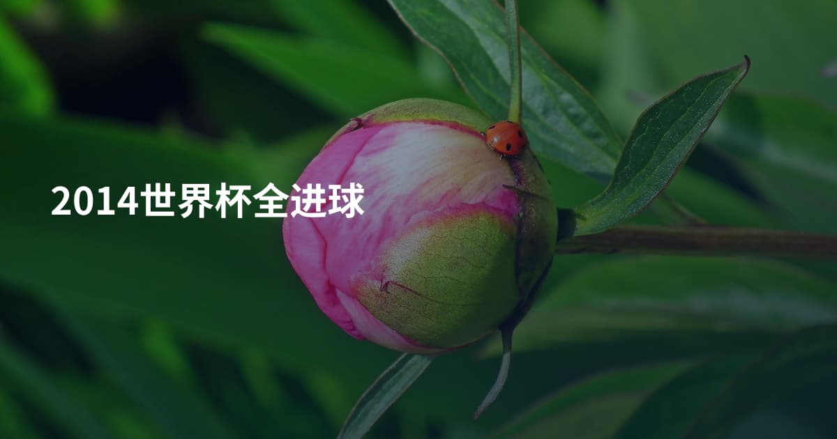 2014世界杯全进球