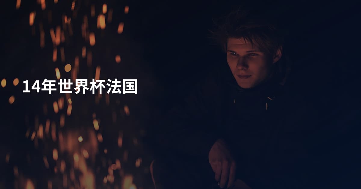 14年世界杯法国