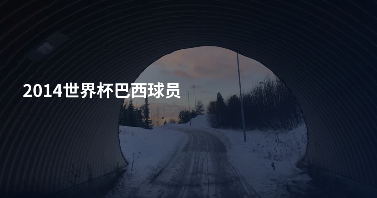 2014世界杯巴西球员