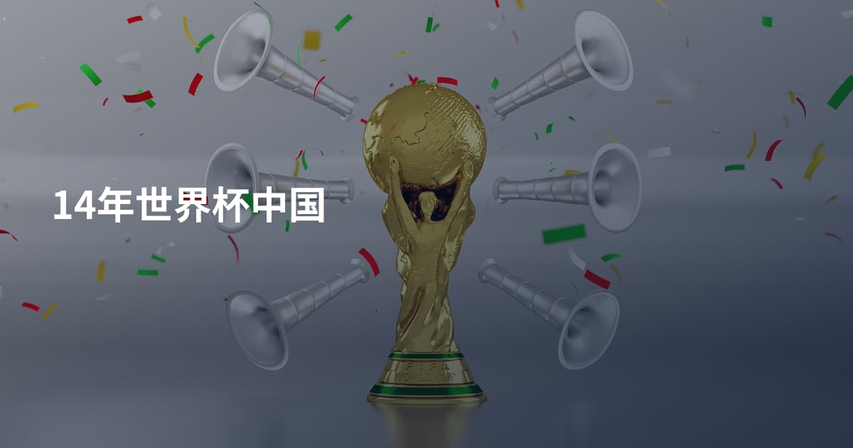 14年世界杯中国