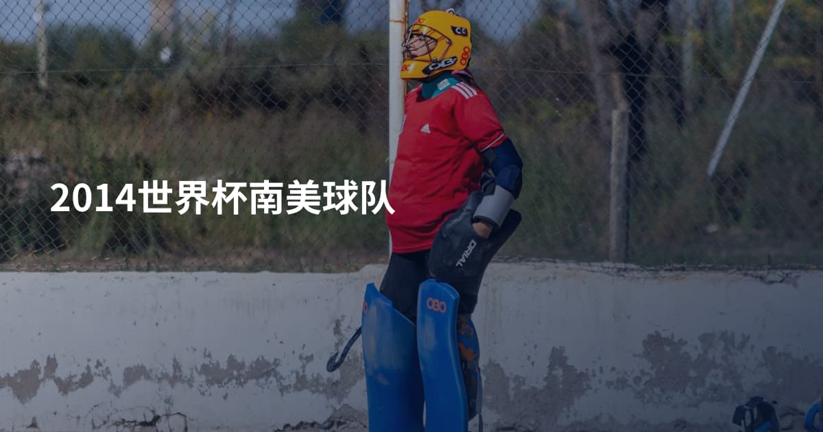 2014世界杯南美球队