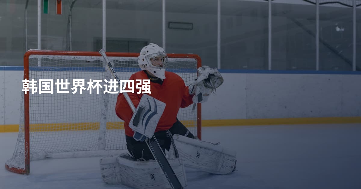 韩国世界杯进四强