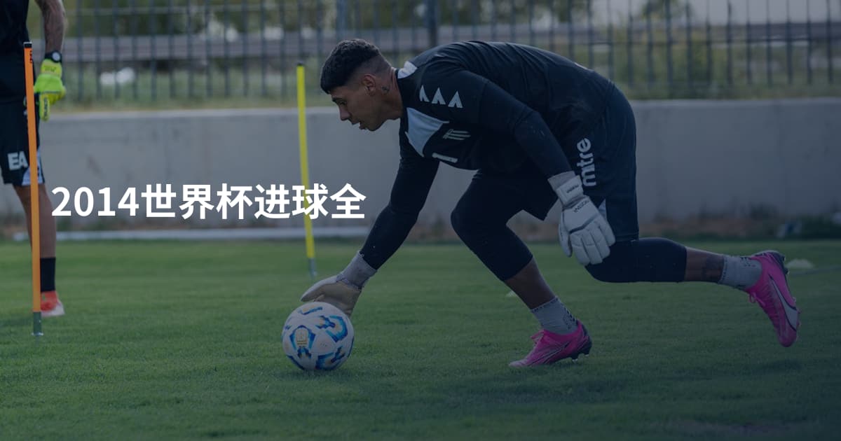 2014世界杯进球全