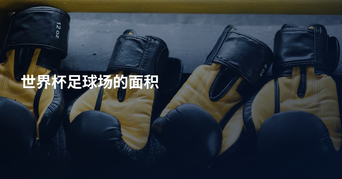 世界杯足球场的面积