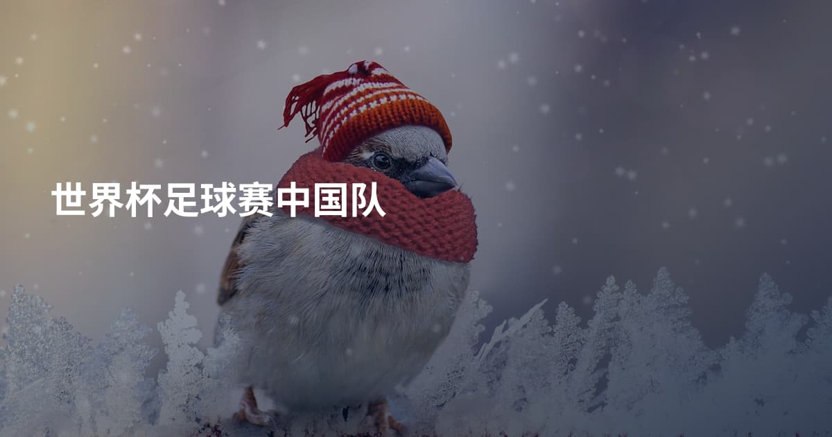 世界杯足球赛中国队
