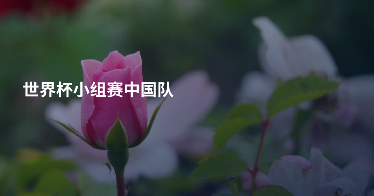 世界杯小组赛中国队