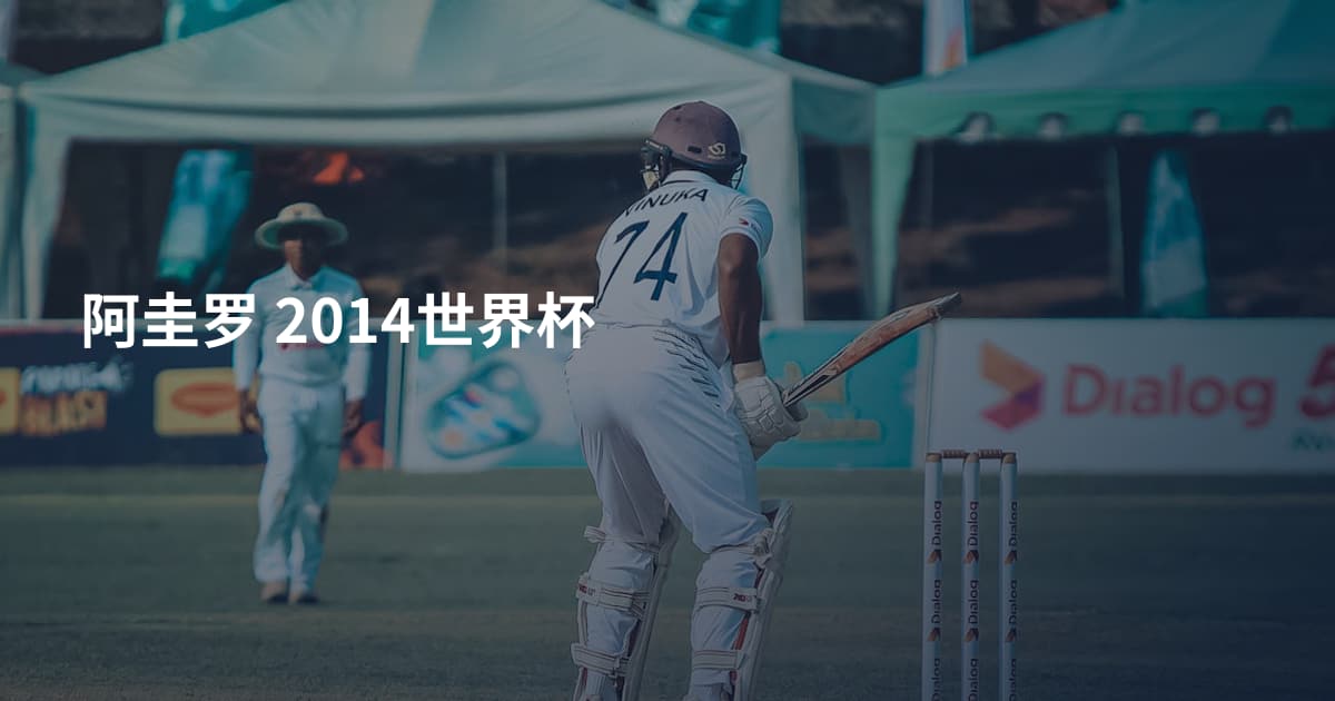 阿圭罗 2014世界杯