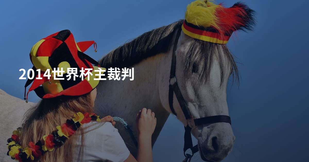2014世界杯主裁判