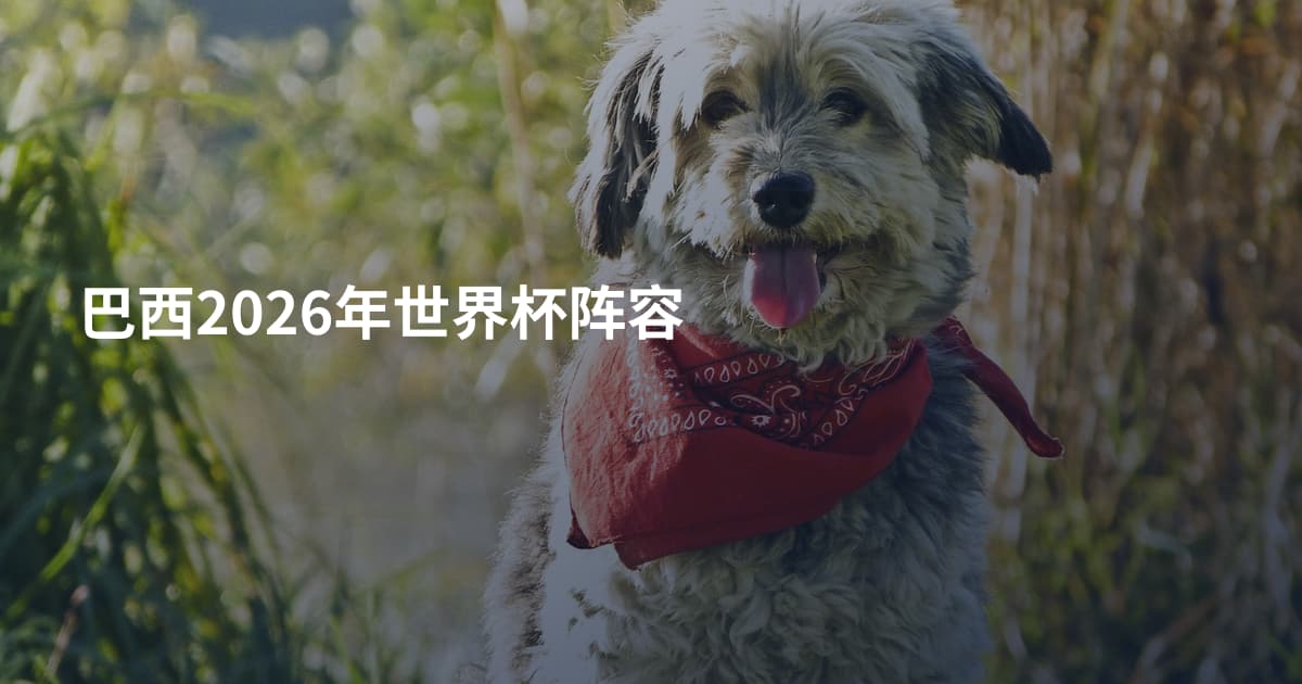巴西2026年世界杯阵容