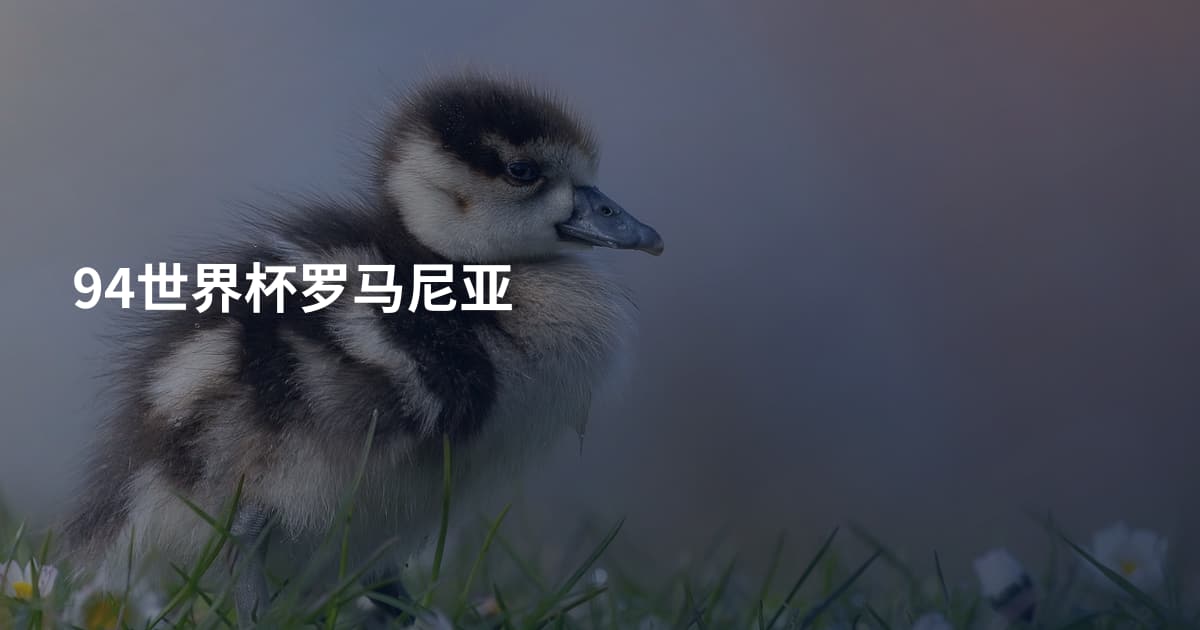 94世界杯罗马尼亚