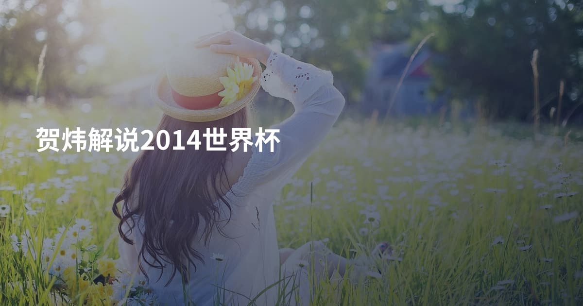 贺炜解说2014世界杯