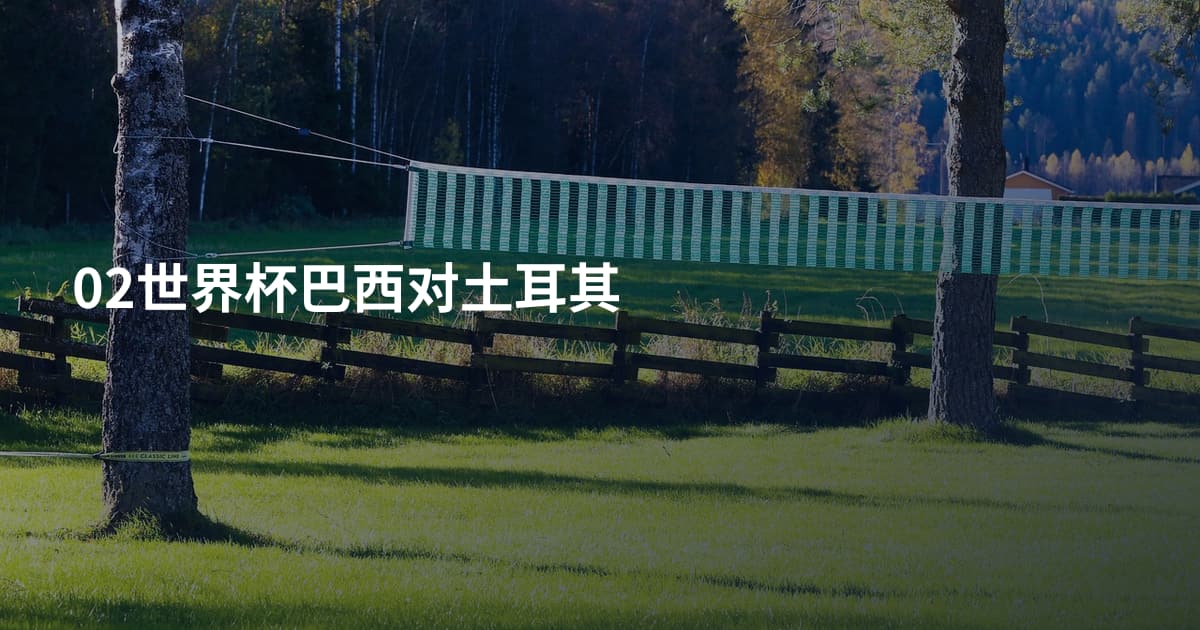 02世界杯巴西对土耳其