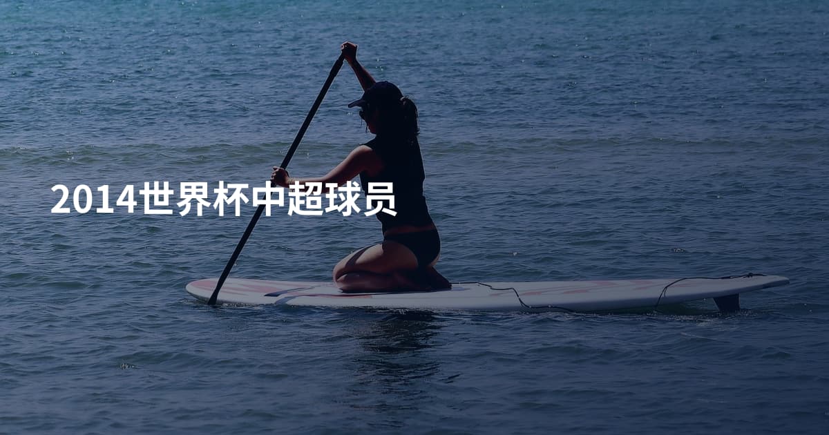 2014世界杯中超球员