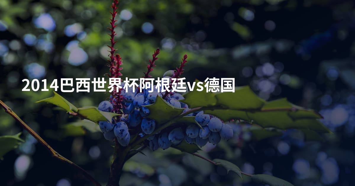 2014巴西世界杯阿根廷vs德国