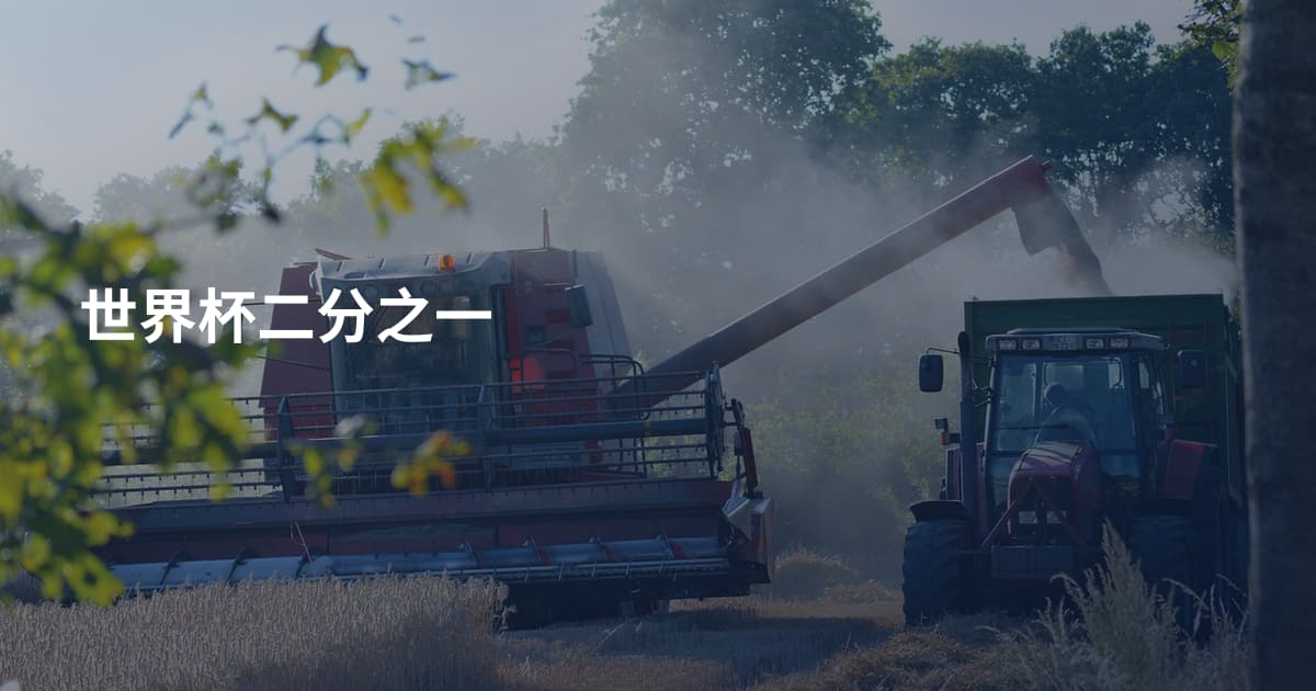 世界杯二分之一