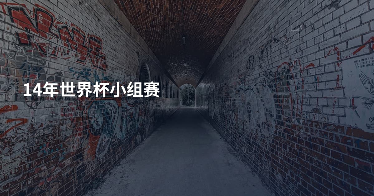 14年世界杯小组赛